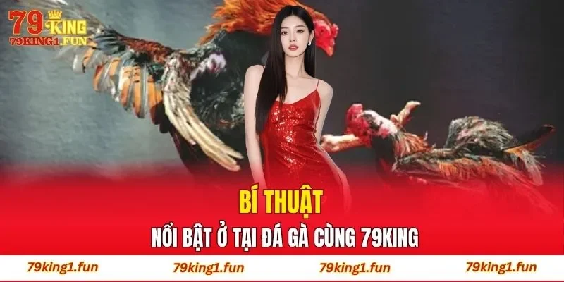 Bí thuật nổi bật ở tại đá gà cùng 79King