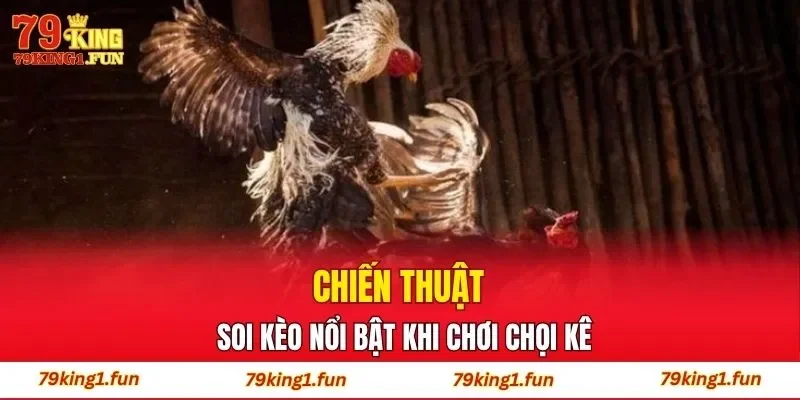 Chiến thuật soi kèo nổi bật khi chơi chọi kê