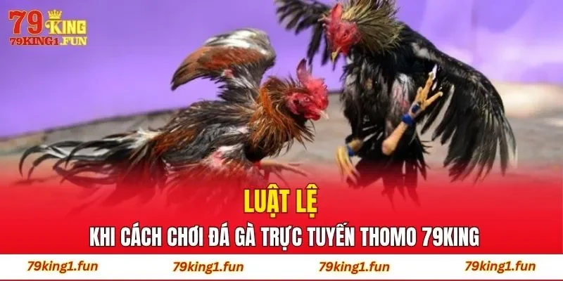 Luật lệ khi cách chơi đá gà trực tuyến Thomo 79King