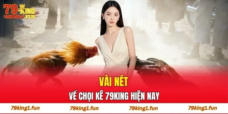 Vài nét về chọi kê 79King hiện nay