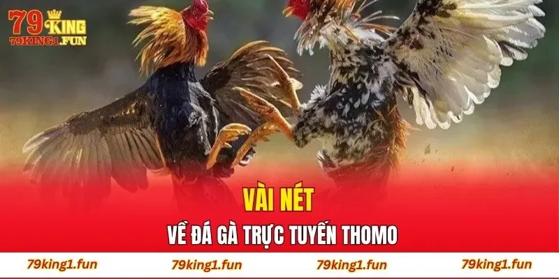 Vài nét về đá gà trực tuyến Thomo